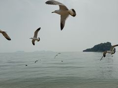 -棒棰岛宾馆景区