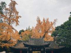 -三苏祠