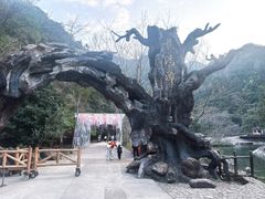 -龙湾潭国家森林公园