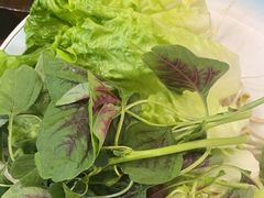 -菌乡缘·野生菌蒸汽鱼火锅(江边夜市店)