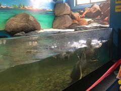 -苏州海洋馆