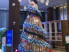 -上海国展宝龙丽筠酒店