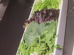 -南门四季铜锅涮肉(大屯·北苑店)