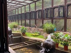 -Local泰莲庭(虹鳟鱼店)