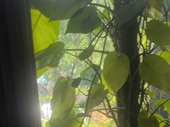 -肴约·花园式餐厅(湖里店)