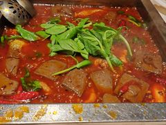 -红鼎坊·老成都火锅(新南门店)