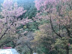 -苍山世界地质公园·石门关大峡谷