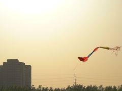 -汉长安城未央宫国家考古遗址公园