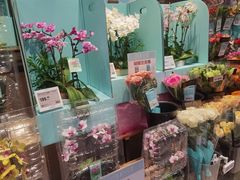 -盒马鲜生(王府广场店)