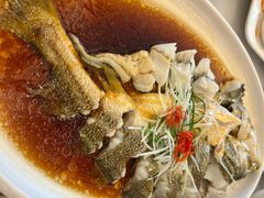 -华盛丰温州大排档(东三环南路店)