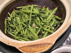 -熠盛粤味·顺德桑拿鸡(永康路店)