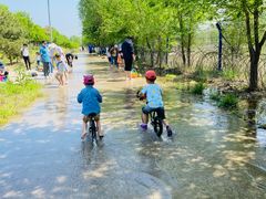 -永定河休闲森林公园