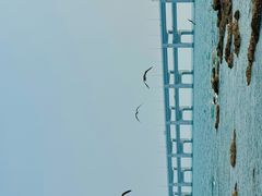 -黑石礁公园