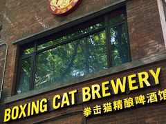 -Boxing Cat Brewery拳击猫精酿啤酒馆(永福店)