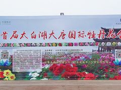 -济宁市太白湖旅游景区
