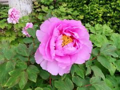 -狼山风景名胜区