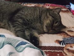 -太原东方动物医院(小店分院)