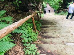 -天女山森林公园