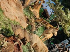 -国家自然博物馆