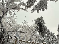-洛阳白云山景区