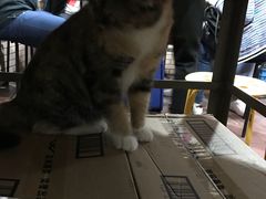 -老地方面馆(思南路店)