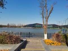 -上海长兴岛郊野公园