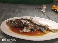 -柴米油盐三杯鸡(象山北路店)