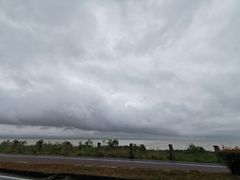 -合肥滨湖国家森林公园