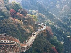 -少华山国家森林公园