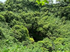 -海口火山口国家地质公园
