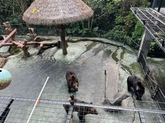 -深圳野生动物园