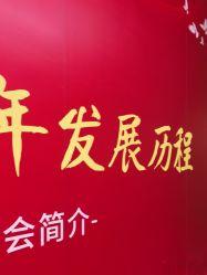 -飞览天下沉浸式飞行体验(北京旗舰店)