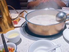 -顺德公广东猪肚鸡·煲仔饭(白石洲店)