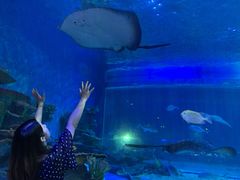 -华夏文旅海洋公园