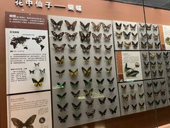 -天津自然博物馆