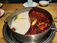 -青瓷火锅料理(西单大悦城店)