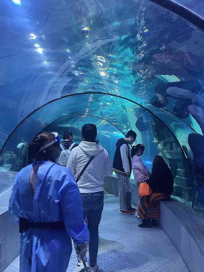 上海长风海洋世界-"按照上海各水族馆的规模来说,算小的了,不.