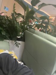 -LIHER北京丽合医疗美容医院