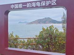 -广东惠东海龟国家级自然保护区