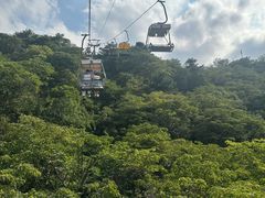 -富斯特索道