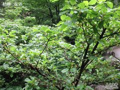 -安吉龙王山风景区