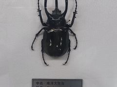 -郑州自然博物馆(惠济区)