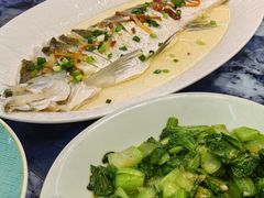 -全乐鱼馆·淳牌有机鱼直营店