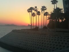 -迪拜帆船酒店海底餐厅