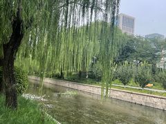 -元大都城垣遗址公园