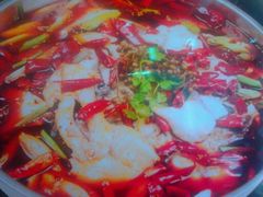 android_upload_pic-乡土特色.冷锅鱼.牦牛肉汤锅