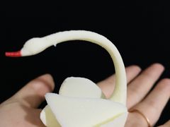 -BLACKSWAN黑天鹅(环球店)