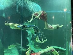 -龙谷湾旅游休闲度假区