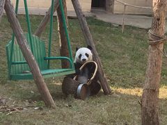 -石家庄市动物园