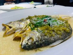 雪菜蒸野生大黄鱼-麟1929(外滩店)